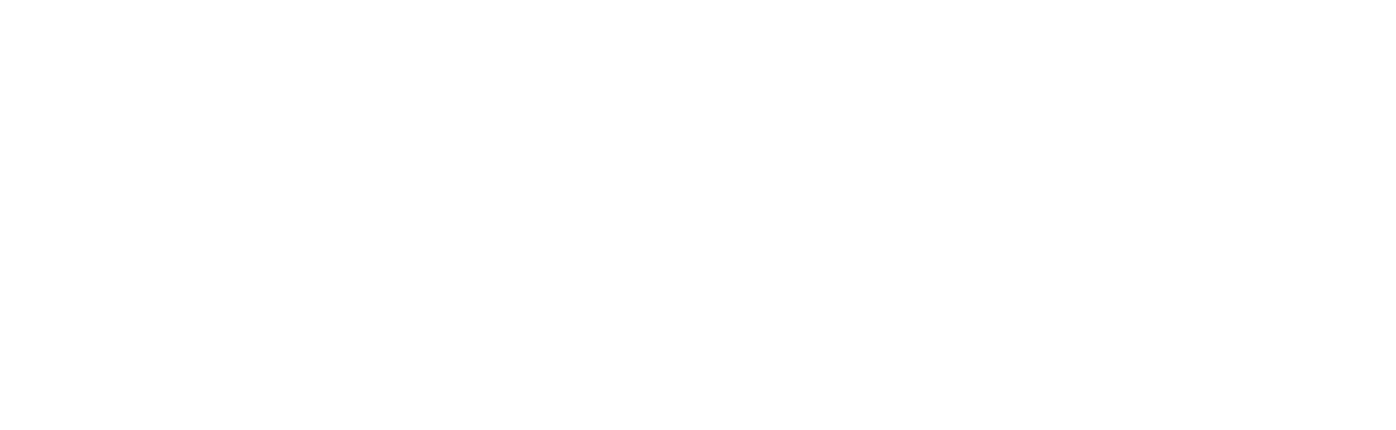 HorizonFlare Technology Limited (Canada)